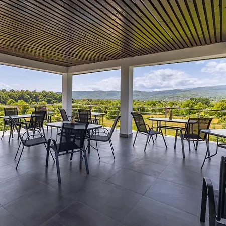 Alliance New 2025 -breakfast And Pool Included * Solotvyno