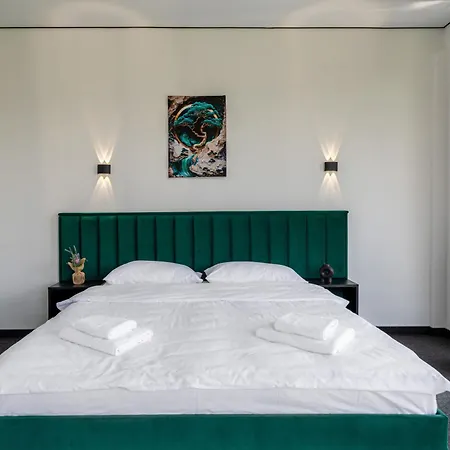 Alliance New 2025 -breakfast And Pool Included Hotel Solotvyno