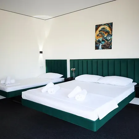 Alliance New 2025 -breakfast And Pool Included Solotvyno