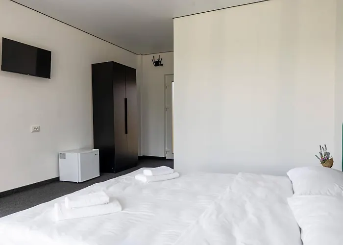 Hotel Alliance New 2025 -breakfast And Pool Included